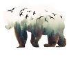 Nature Bear