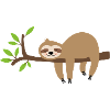 lazy sloth