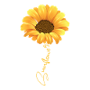 Magnifique tournesol avec écriture chemise tournesol