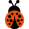 Ladybug