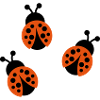 Ladybug