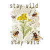 Stay wild, nature, flowers, bee