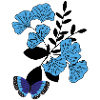 Butterfly on blue flower.
