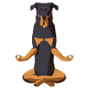 Beauceron Dog meditate