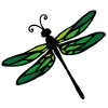 dragon-fly