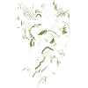 Abstract green white