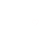 Dog Schnauzer