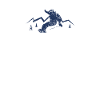 Snowboard snowboarder snowboard snowboard