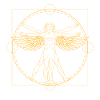 Vitruvian man wing Leonardo Da Vinci