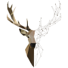 Deer geometric