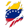 Venezuela flag torn motif