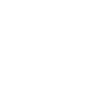 Dog And Cat