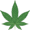 Cannabis leaf