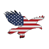 Drapeau Eagle USA