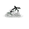Killer whale
