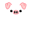 Pig Face