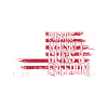 USA flag