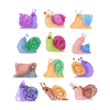 Snail gift