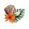 slug
