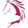Testa di cavallo, disegno cavallo, cavallo, cavalli