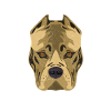 American Bully dog