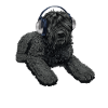 Black Russian Terrier Dog headphones