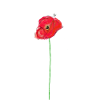 Mohnblumen malen