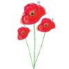 Bouquet poppies paint