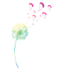Rainbow dandelion dandelion paraglider