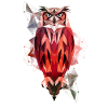 Owl geometric