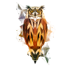 Owl geometric