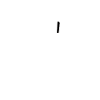 Team Bräutigam