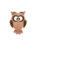 Eule Eulen Vogel Spruch Lustig Nachteule Geschenk