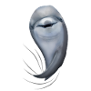 Dolphin dolphin dolphin lover gift