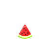 WATERMELON SUGAR GIFT IDEA BIRTHDAY