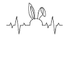 Bunnies heartbeat