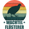 Wachtel Flüsterer