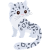 Snow leopard