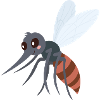 mosquito
