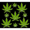 Hemp pattern green