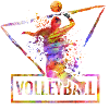 volleyball