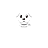 Bichon Frise Bichon Frisé