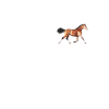 cheval