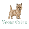 Team Cairn