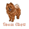 Team Chow