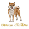 Team shiba