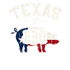 Texas BBQ - grilling