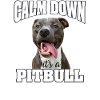 pitbull not a shark