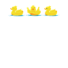Duck rubber duck breeding ducks