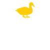 Duck rubber duck breeding ducks